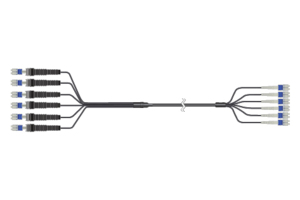 DFJ-12S010